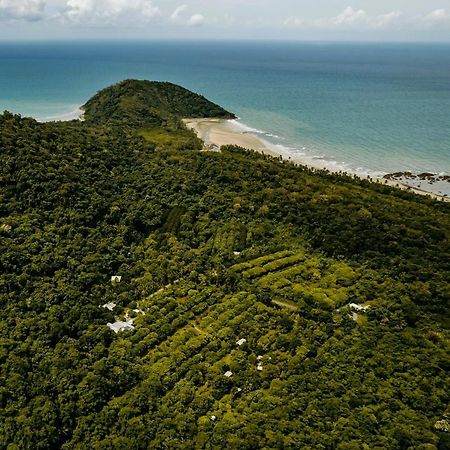 Cape Trib Farm Bed & Breakfast Cape Tribulation Exterior photo