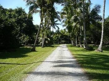 Cape Trib Farm Bed & Breakfast Cape Tribulation Exterior photo