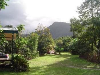 Cape Trib Farm Bed & Breakfast Cape Tribulation Exterior photo