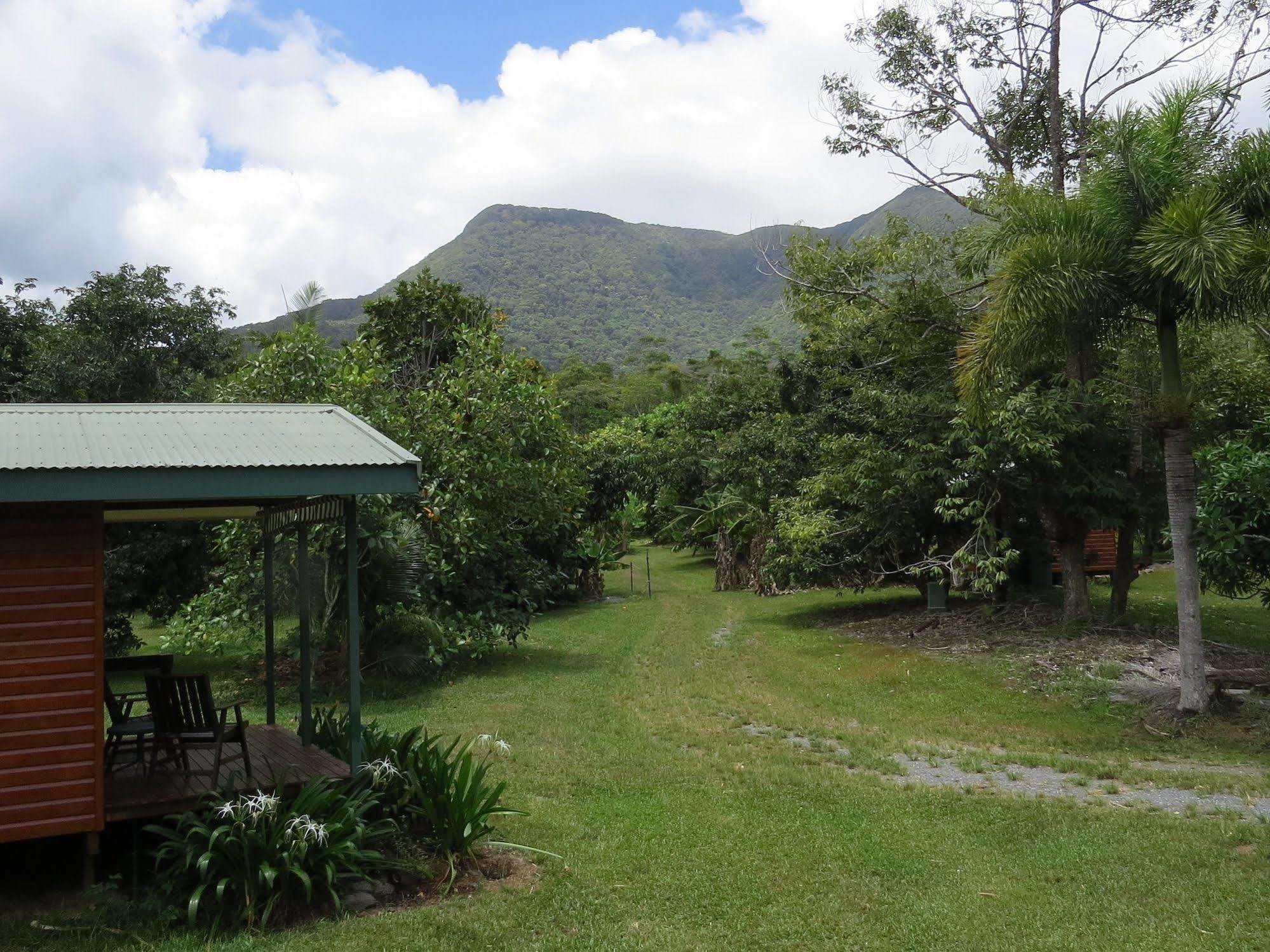 Cape Trib Farm Bed & Breakfast Cape Tribulation Exterior photo