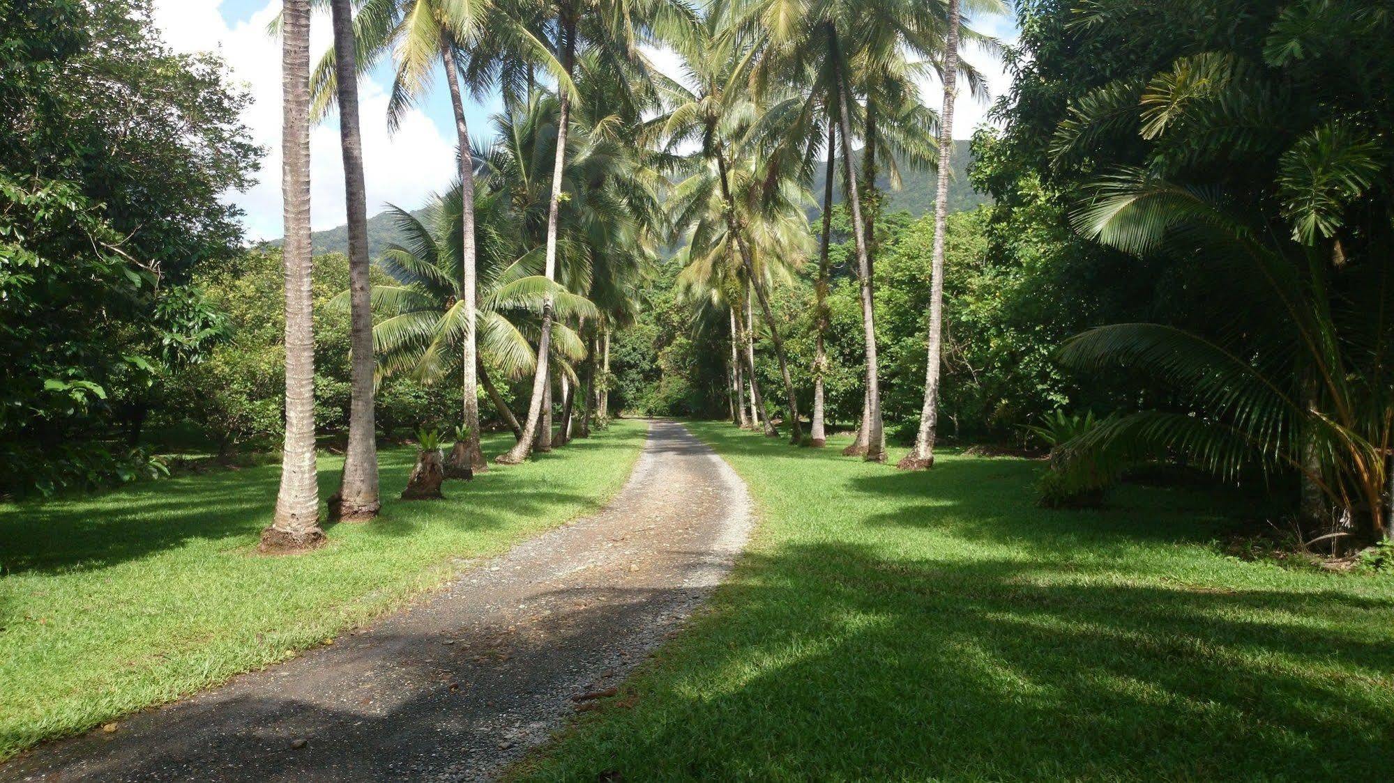 Cape Trib Farm Bed & Breakfast Cape Tribulation Exterior photo